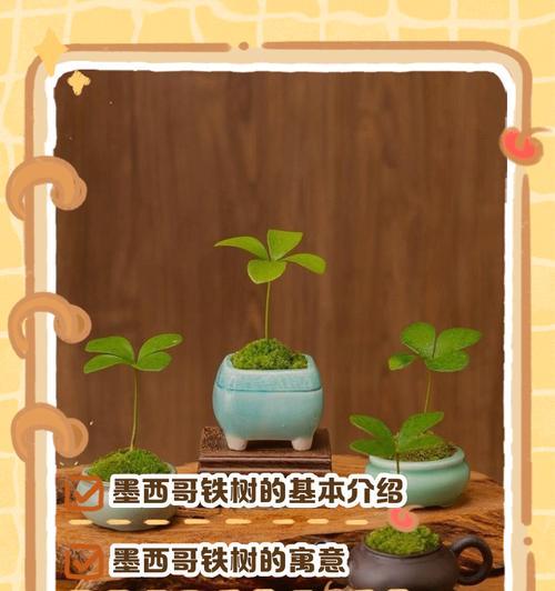 铁树生长缓慢的原因及解决办法是什么？如何促进铁树生长？