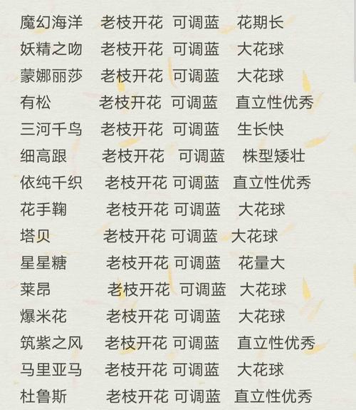 切花绣球有哪些品种？不同品种的绣球花如何选择？
