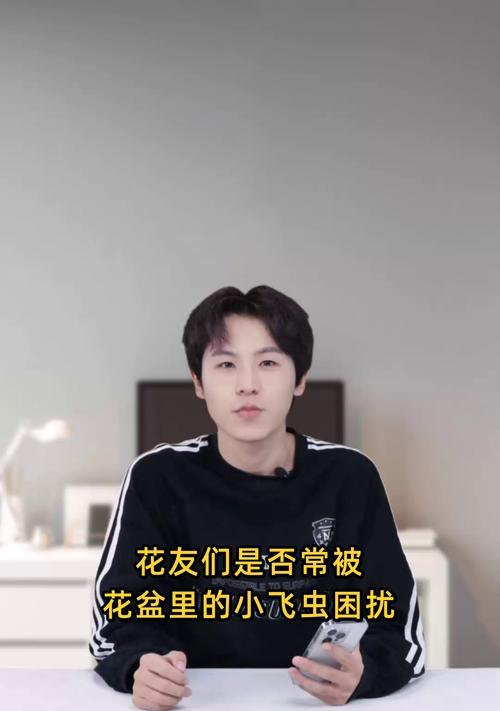 花盆小飞虫的消灭方法有哪些？