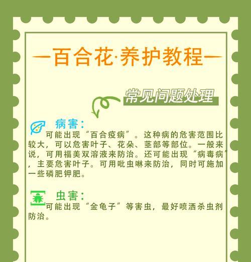 百合花出现虫害怎么办？防治虫害的有效方法是什么？