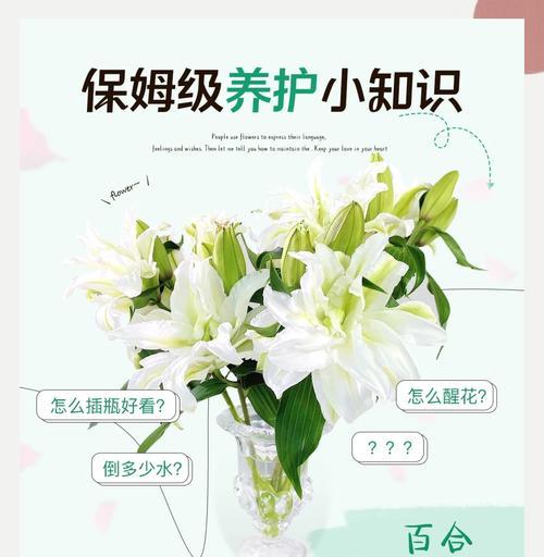 百合花出现虫害怎么办？防治虫害的有效方法是什么？