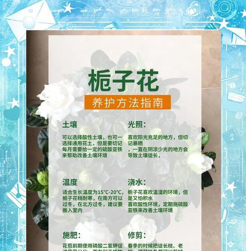 黄栀子的养殖技巧和注意事项？