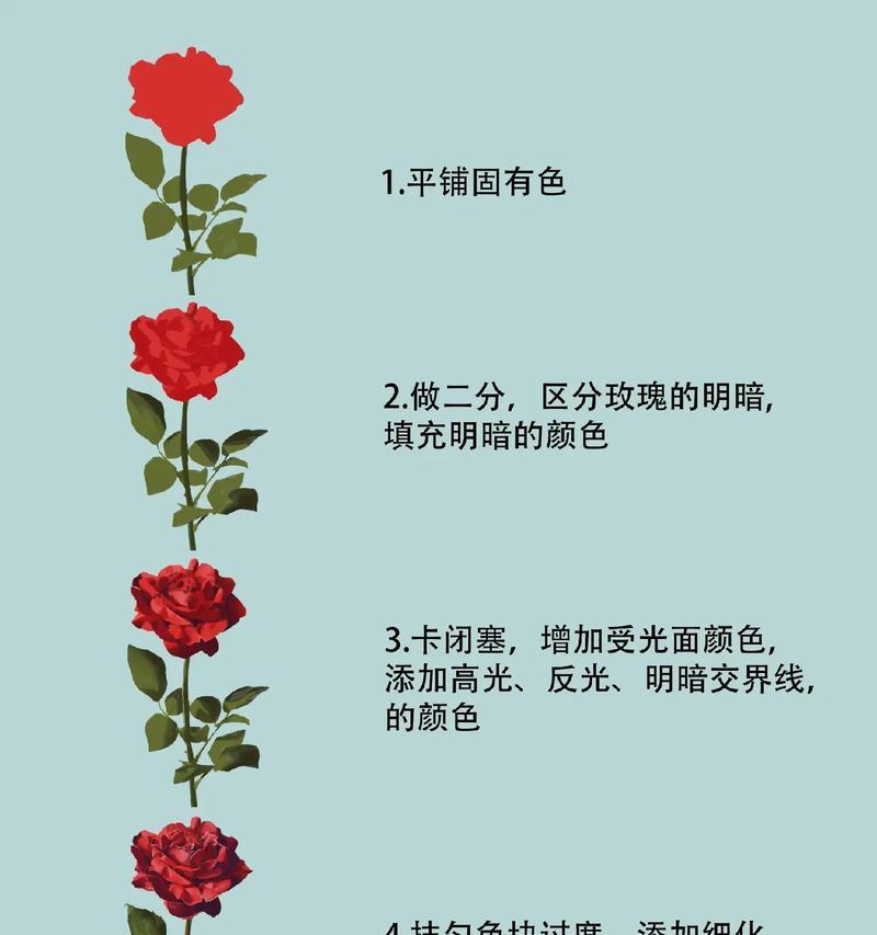 种玫瑰花的步骤和技巧是什么？