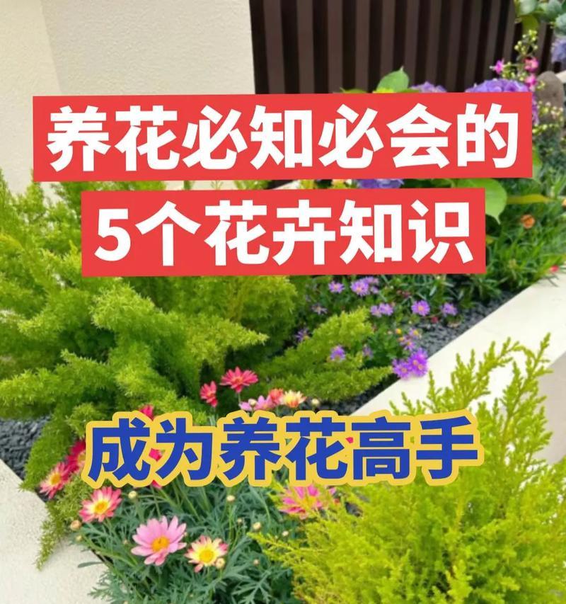 室内养花的养护技巧是什么？