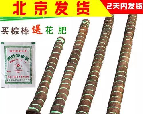 绿萝柱的制作步骤是什么？如何保证其生长健康？