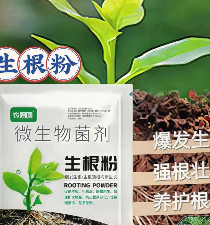 促进植物生根的技巧有哪些？