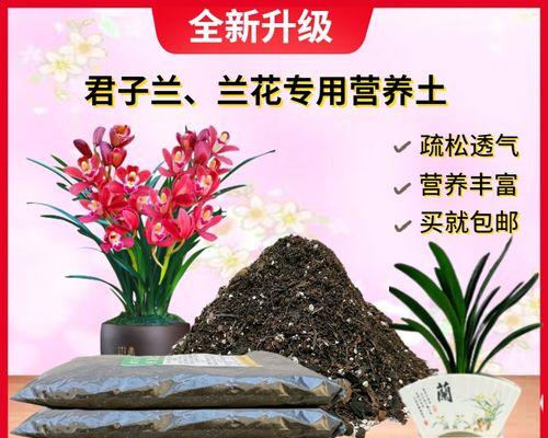 细叶君子兰适合哪种土壤？如何正确选择？