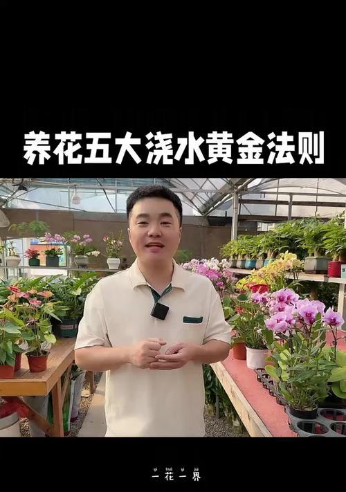 给花浇水的最佳时间是什么时候？如何正确浇水？