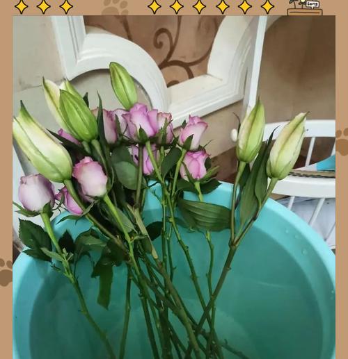 如何正确养护鲜花以延长其花期？