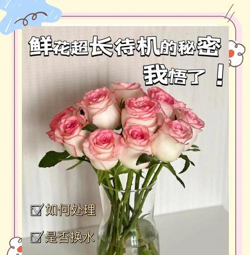 如何正确养护鲜花以延长其花期？