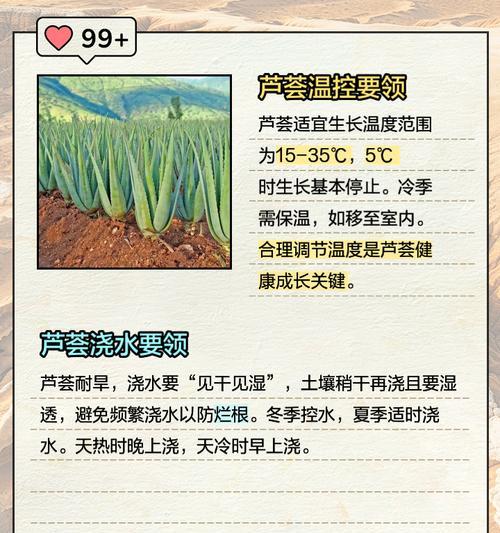 盆栽芦荟移植的最佳时机是什么时候？