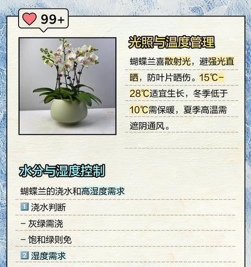 蝴蝶兰养殖过程中常见的问题有哪些？