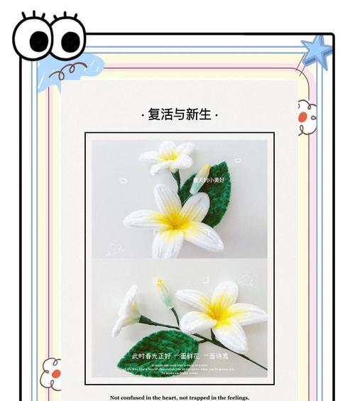 鸡蛋花的花语是什么？鸡蛋花的文化意义和养护技巧是什么？