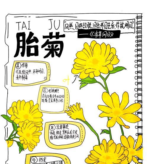 菊花繁殖的方法和注意事项是什么？