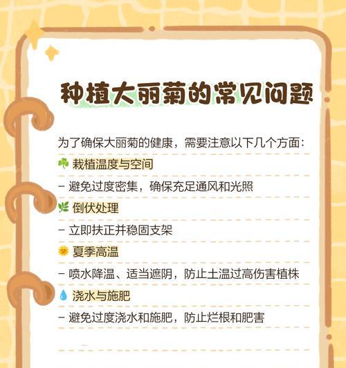 菊花繁殖的方法和注意事项是什么？