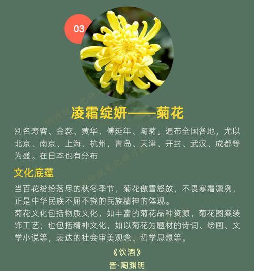 我国有哪些名花？它们的文化意义是什么？