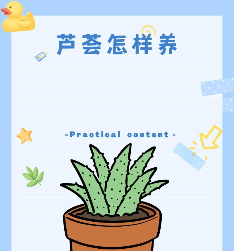 芦荟养殖方法及常见问题解答？
