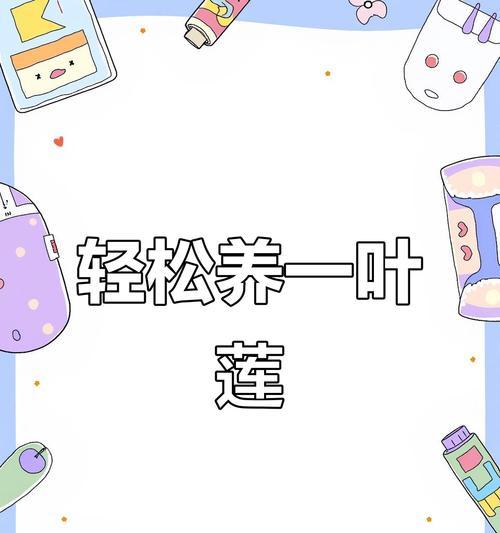 莲怎么养？莲的养殖方法和注意事项是什么？