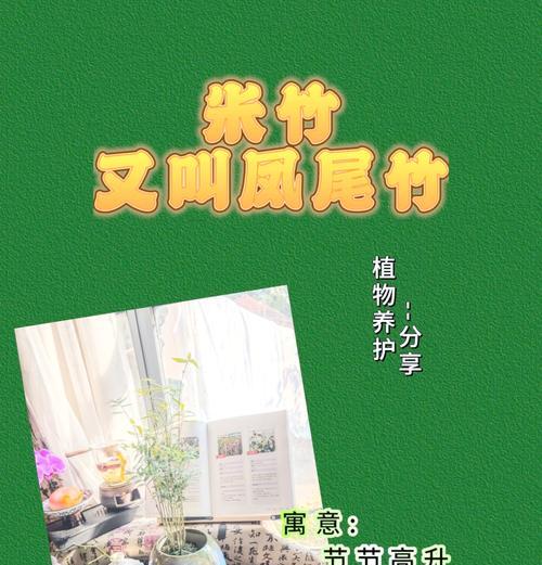 竹子苗最适合在什么时间种植？