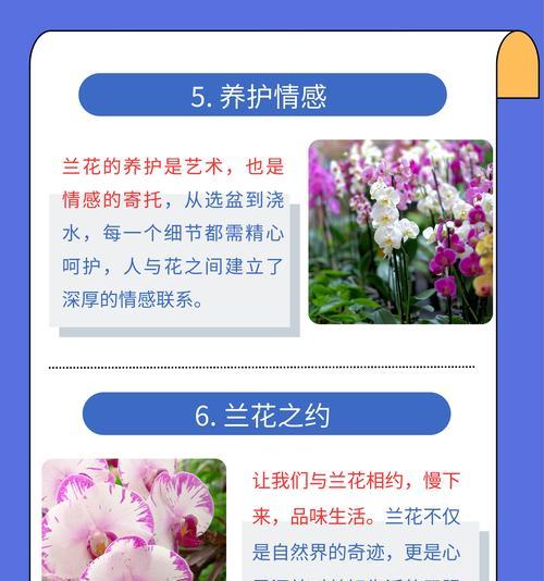 兰花开花后需要做哪些管理工作？如何延长兰花的花期？