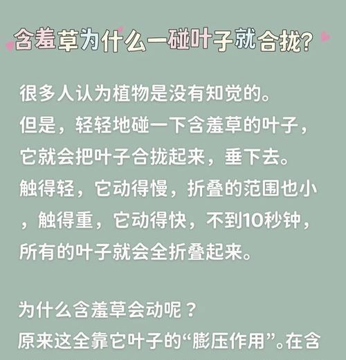 含羞草为什么会“害羞”闭合？含羞草的这一特性有何科学解释？