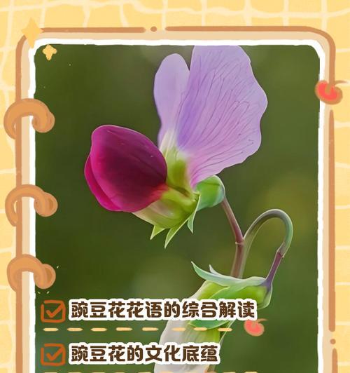 如何鉴别真正的银皇后？