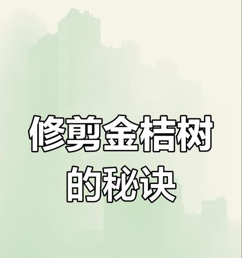 金桔修剪的正确步骤是什么？修剪后如何促进结果？