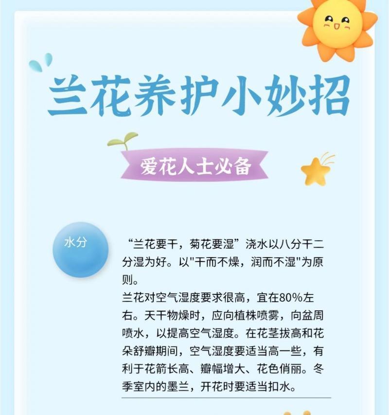 兰花湿养的技巧和注意事项有哪些？