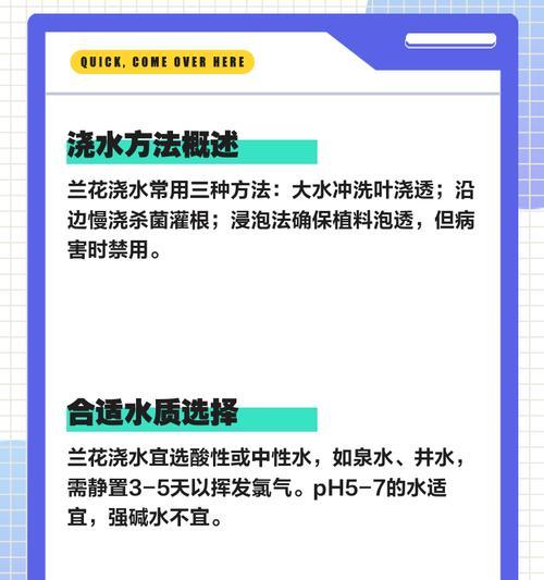 兰花湿养的技巧和注意事项有哪些？