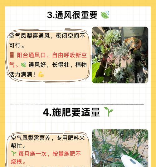 水养植物的正确方法是什么？水养植物需要注意什么？