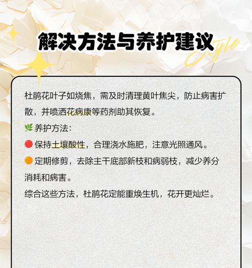 杜鹃叶子发黑怎么回事？杜鹃叶子发黑的可能原因及处理方法？