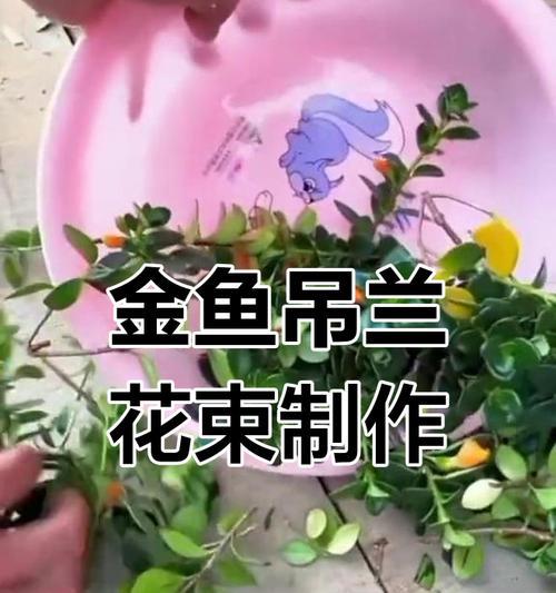吊兰枝条修剪技巧是什么？