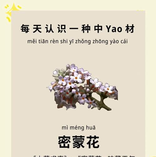 扎蒙花种植需要注意哪些要点？