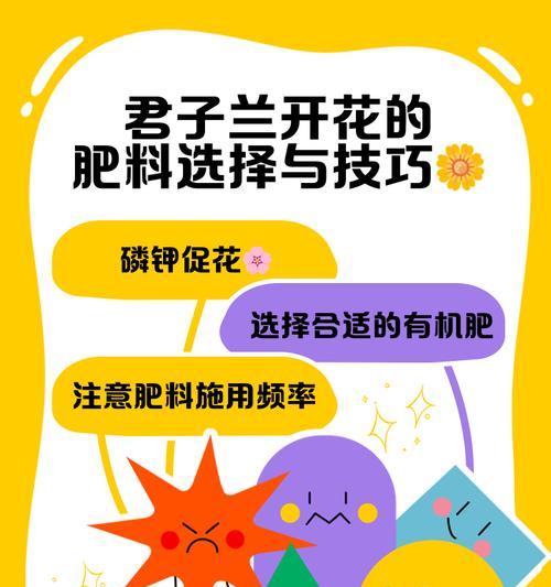 君子兰专用肥的正确使用方法是什么？