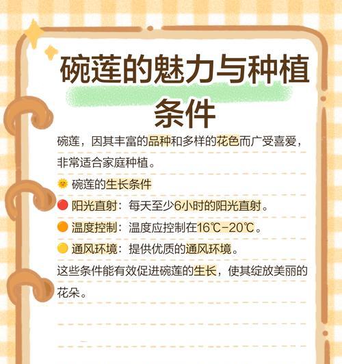 碗莲种植步骤和养护技巧是什么？