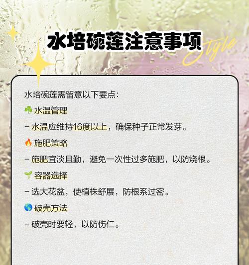 碗莲种植步骤和养护技巧是什么？