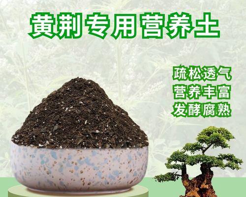盆栽种植最适合用什么土壤？盆栽土壤的选择和配制技巧是什么？