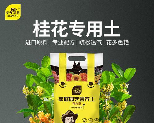 盆栽种植最适合用什么土壤？盆栽土壤的选择和配制技巧是什么？