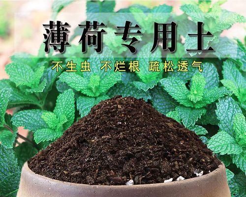 盆栽种植最适合用什么土壤？盆栽土壤的选择和配制技巧是什么？