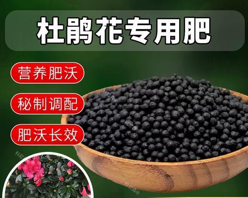 映山红什么时候施肥？如何正确施肥以促进生长？