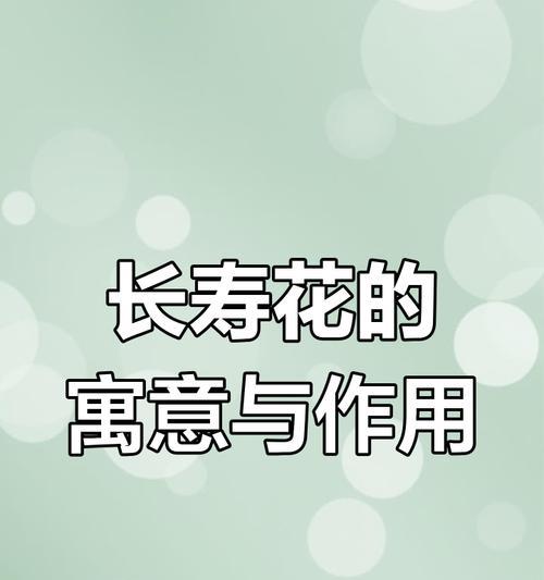 长寿花的养护好处是什么？它对家居环境有何影响？