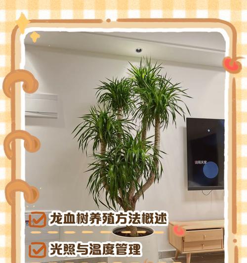 盆景草的养殖方法和注意事项是什么？