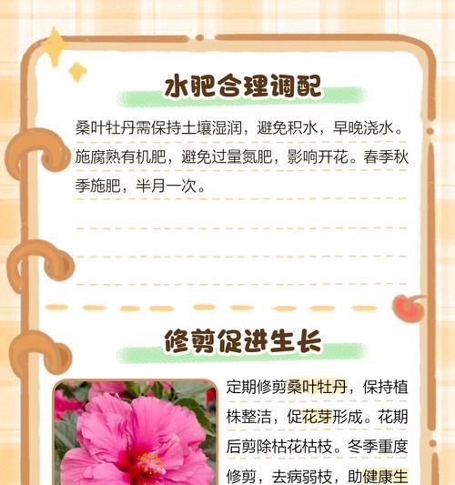 牡丹花开后的养护要点是什么？