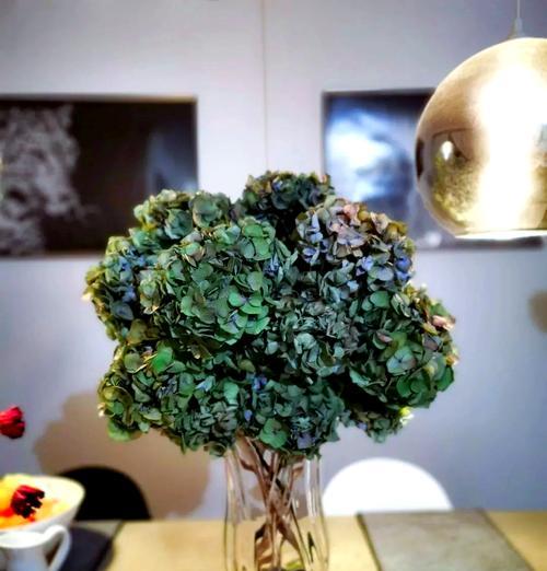 鲜花保存和处理的最佳方法是什么？