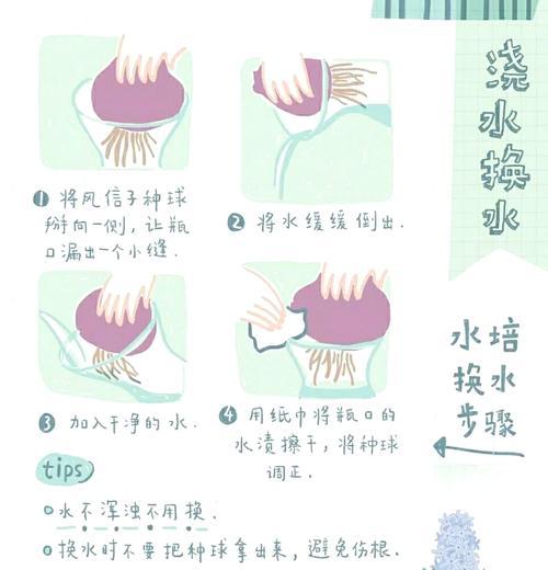 水养花卉的正确方法是什么？如何确保水养花卉的健康？