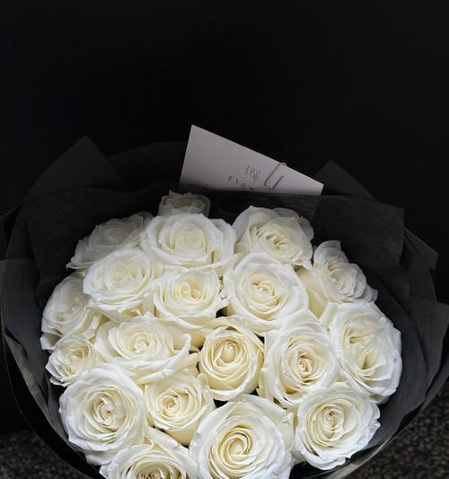 朵白玫瑰的含义是什么？白玫瑰花语的解释是什么？