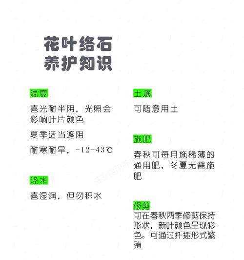 络石花的养殖方法和常见问题是什么？