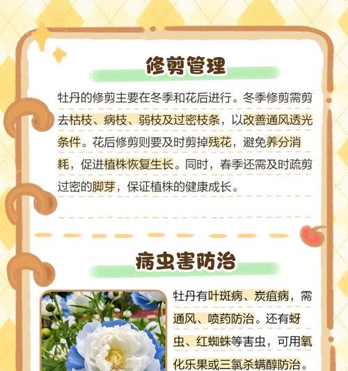 牡丹施肥的正确方法和注意事项有哪些？