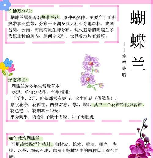 蝴蝶兰种植的正确方法是什么？