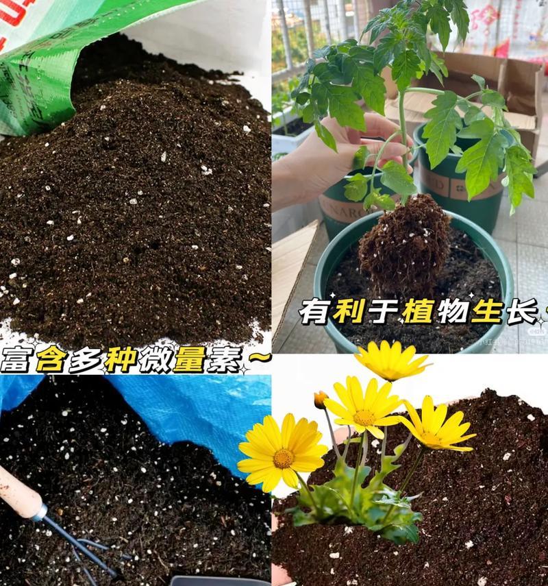培养土的配制方法有哪些？如何制作适合植物生长的培养土？